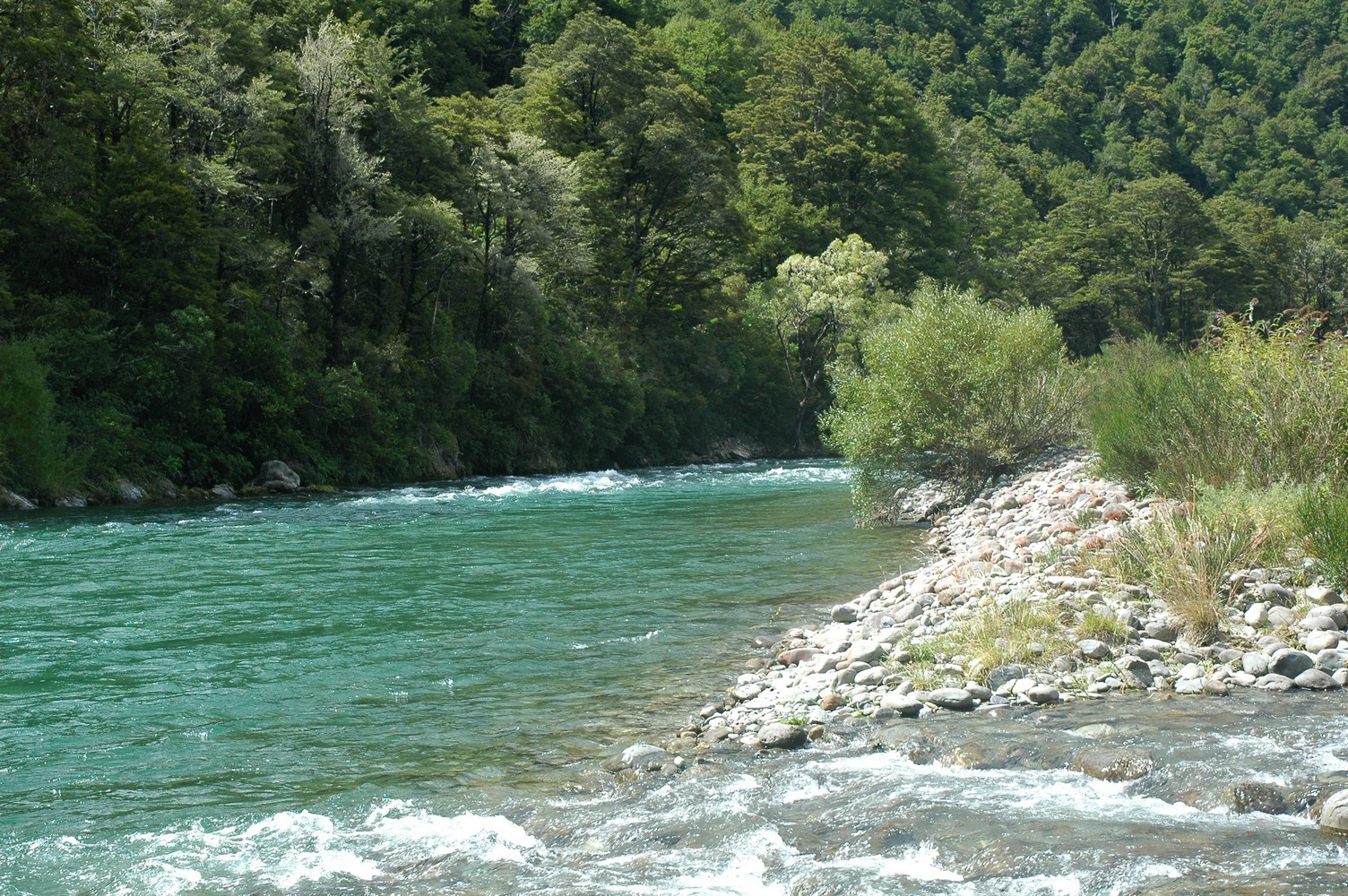 023   23 01   Nelson   Greymouth